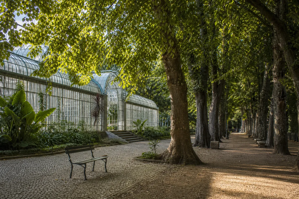 Jardim Botânico de Coimbra