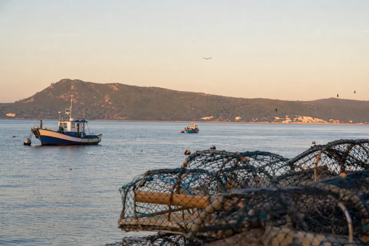 Estuário do Sado, em Setúbal